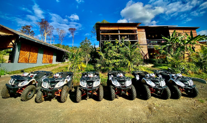 quad bikes lined up